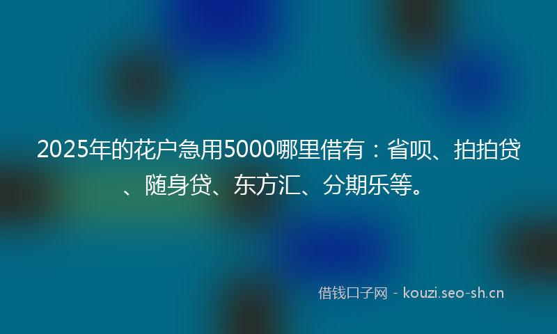 2025年的花户急用5000哪里借有：省呗、拍拍贷、随身贷、东方汇、分期乐等。