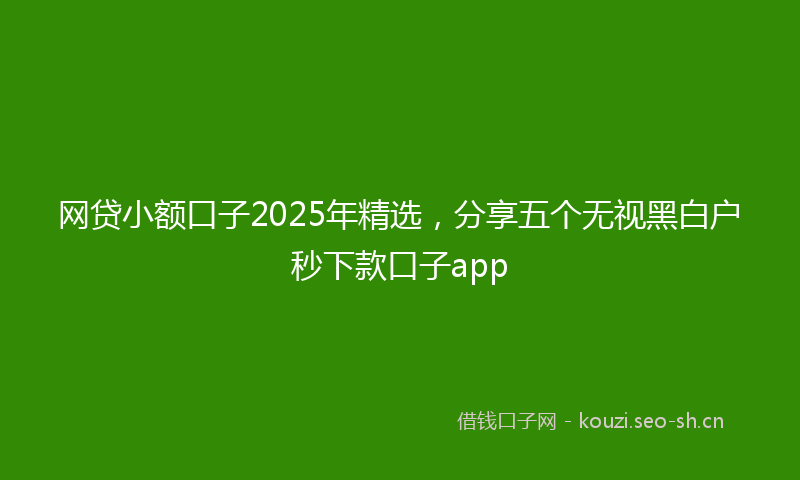 网贷小额口子2025年精选，分享五个无视黑白户秒下款口子app