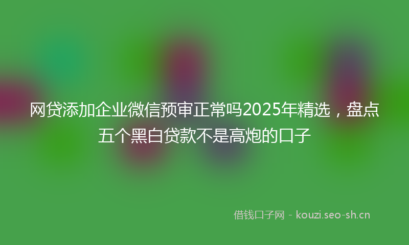 网贷添加企业微信预审正常吗2025年精选，盘点五个黑白贷款不是高炮的口子