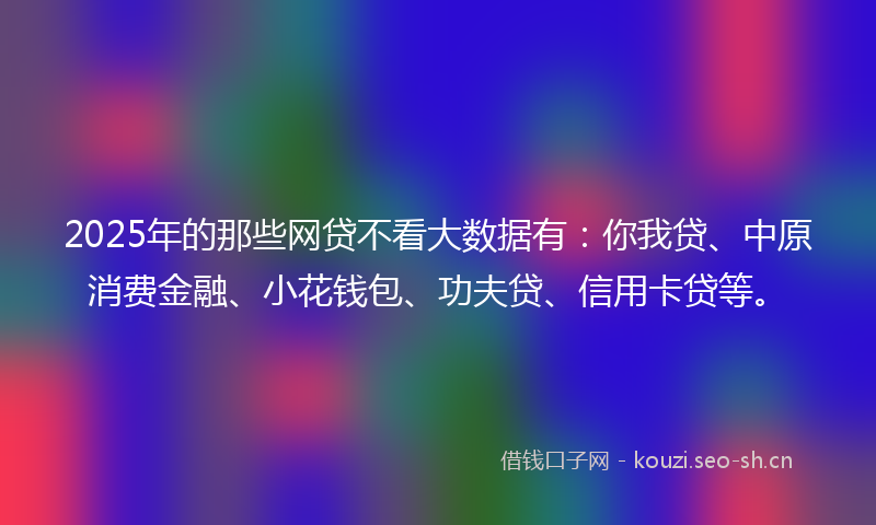 2025年的那些网贷不看大数据有：你我贷、中原消费金融、小花钱包、功夫贷、信用卡贷等。
