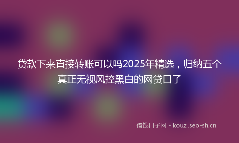 贷款下来直接转账可以吗2025年精选，归纳五个真正无视风控黑白的网贷口子