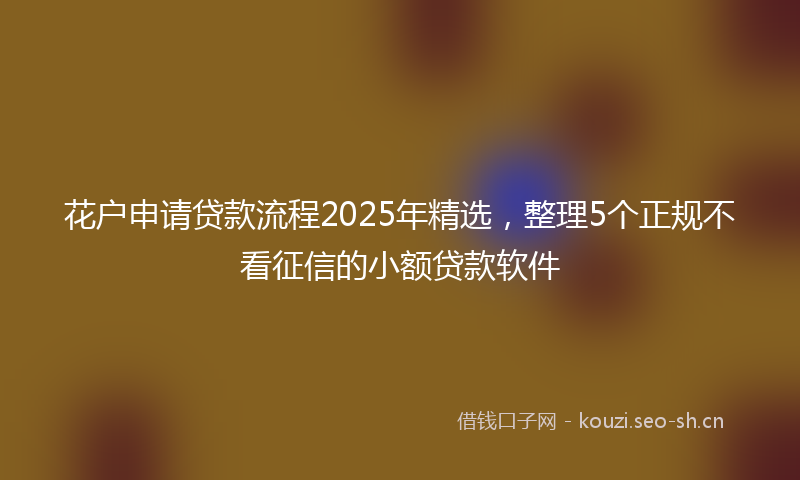 花户申请贷款流程2025年精选，整理5个正规不看征信的小额贷款软件