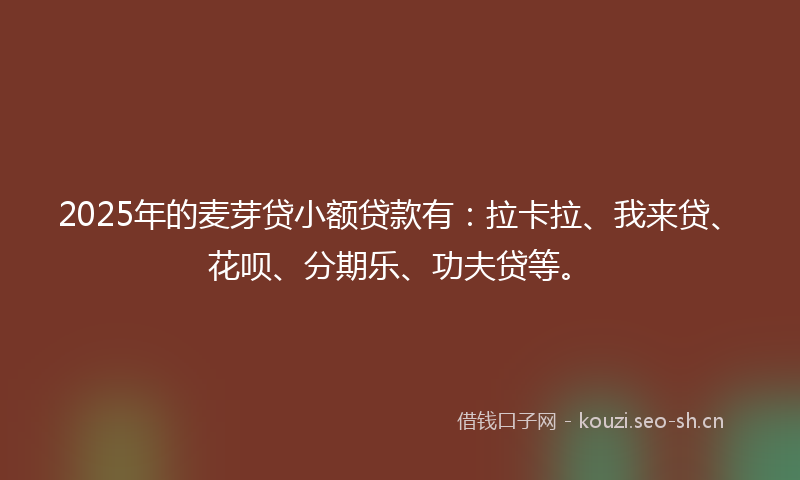 2025年的麦芽贷小额贷款有：拉卡拉、我来贷、花呗、分期乐、功夫贷等。