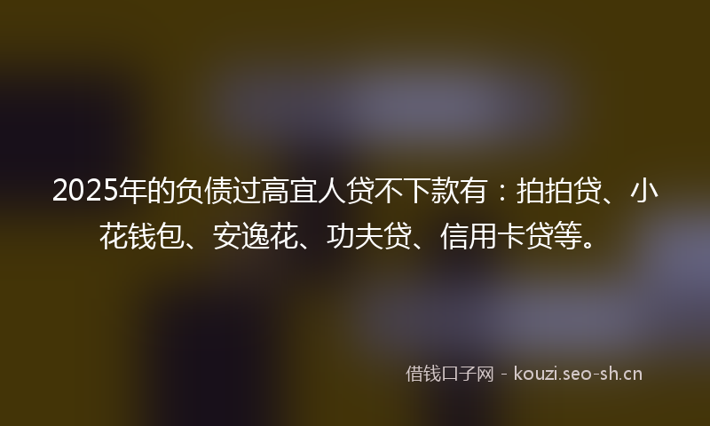 2025年的负债过高宜人贷不下款有：拍拍贷、小花钱包、安逸花、功夫贷、信用卡贷等。