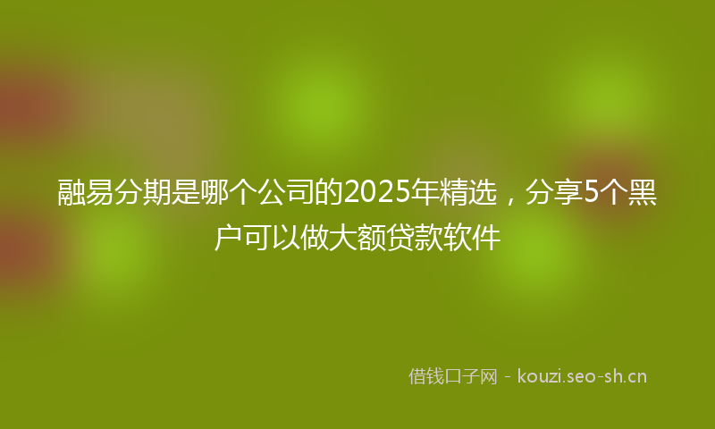 融易分期是哪个公司的2025年精选，分享5个黑户可以做大额贷款软件