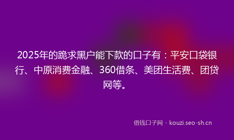 2025年的跪求黑户能下款的口子有：平安口袋银行、中原消费金融、360借条、美团生活费、团贷网等。