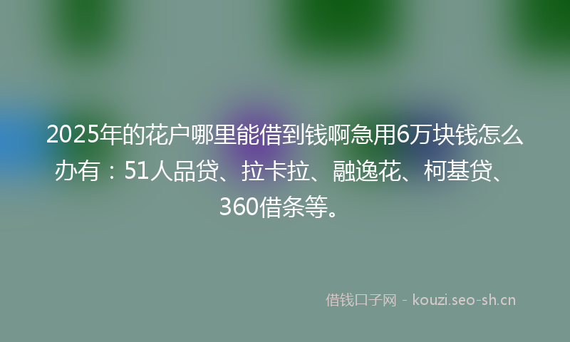 2025年的花户哪里能借到钱啊急用6万块钱怎么办有：51人品贷、拉卡拉、融逸花、柯基贷、360借条等。