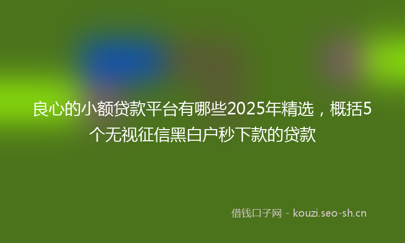 良心的小额贷款平台有哪些2025年精选，概括5个无视征信黑白户秒下款的贷款