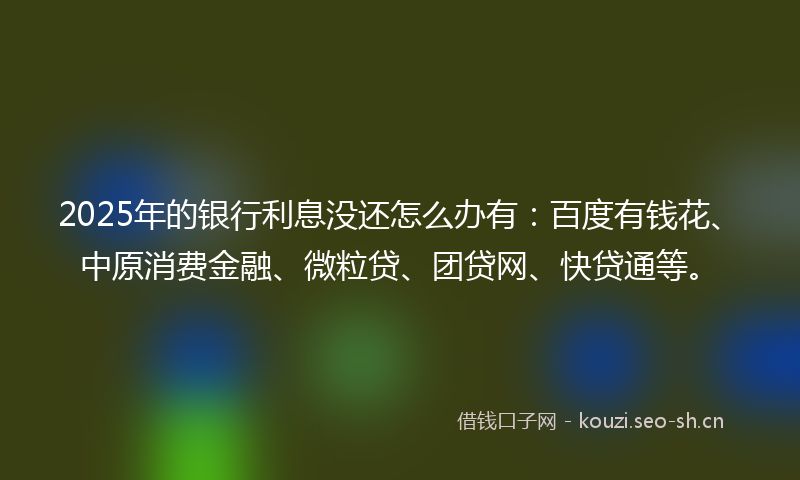2025年的银行利息没还怎么办有：百度有钱花、中原消费金融、微粒贷、团贷网、快贷通等。