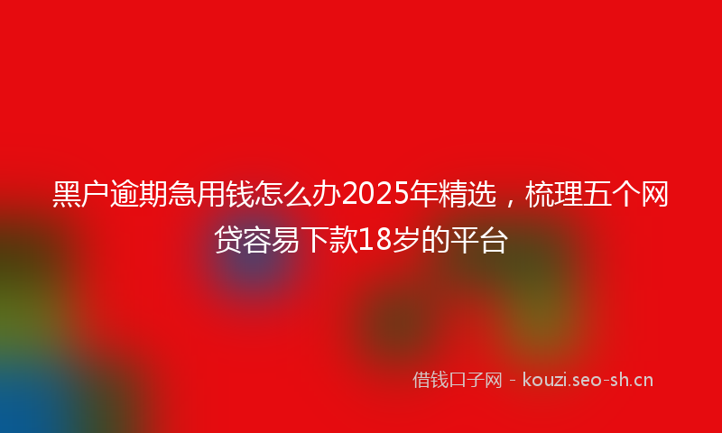 黑户逾期急用钱怎么办2025年精选，梳理五个网贷容易下款18岁的平台