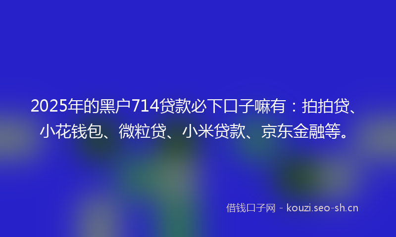 2025年的黑户714贷款必下口子嘛有：拍拍贷、小花钱包、微粒贷、小米贷款、京东金融等。