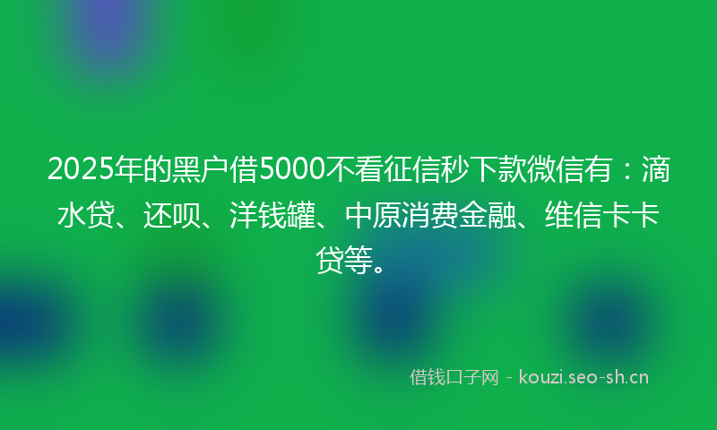 2025年的黑户借5000不看征信秒下款微信有：滴水贷、还呗、洋钱罐、中原消费金融、维信卡卡贷等。