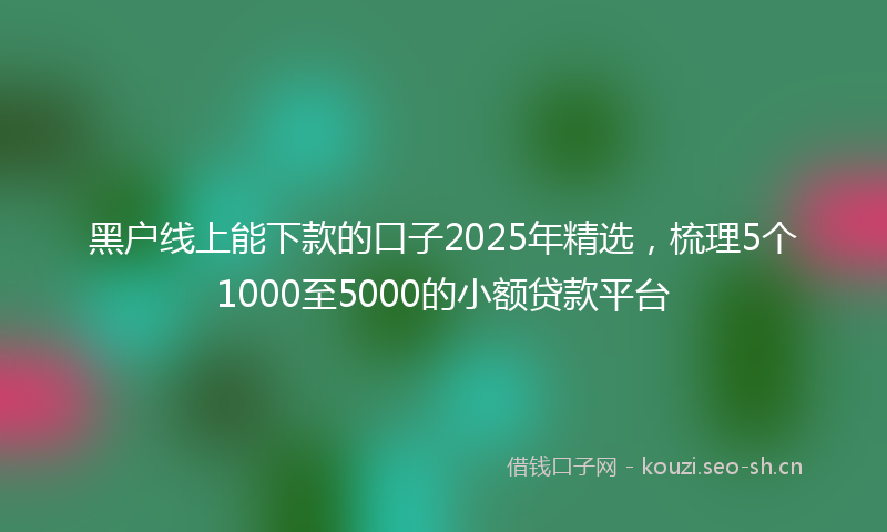 黑户线上能下款的口子2025年精选，梳理5个1000至5000的小额贷款平台