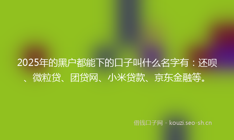 2025年的黑户都能下的口子叫什么名字有：还呗、微粒贷、团贷网、小米贷款、京东金融等。