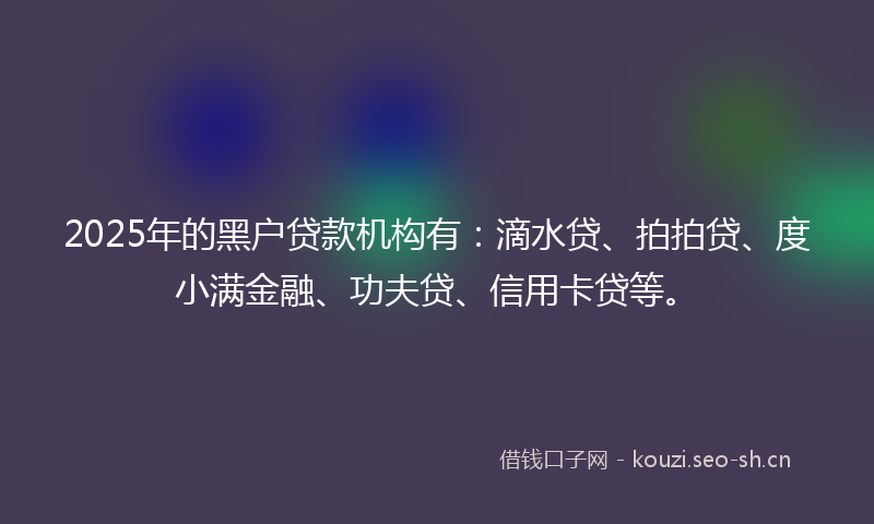 2025年的黑户贷款机构有：滴水贷、拍拍贷、度小满金融、功夫贷、信用卡贷等。