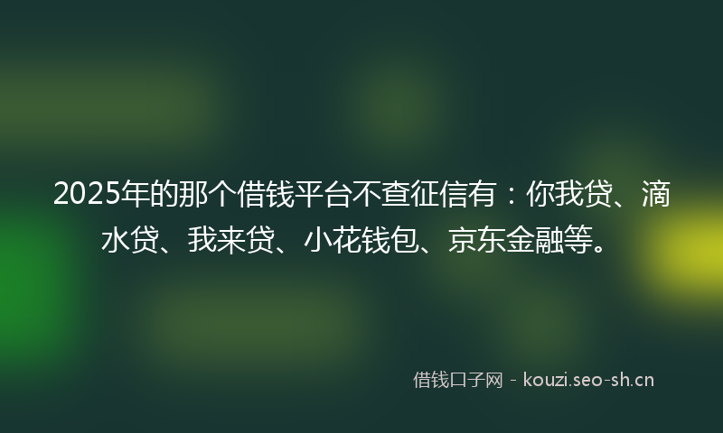 2025年的那个借钱平台不查征信有：你我贷、滴水贷、我来贷、小花钱包、京东金融等。