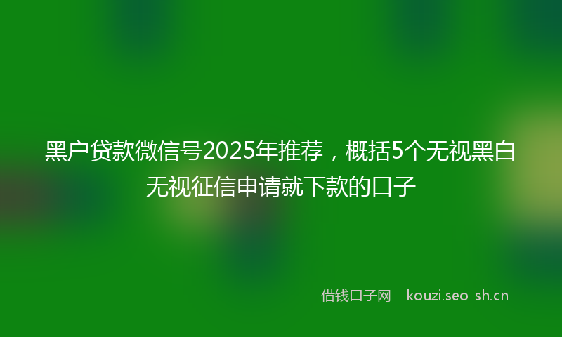 黑户贷款微信号2025年推荐，概括5个无视黑白无视征信申请就下款的口子