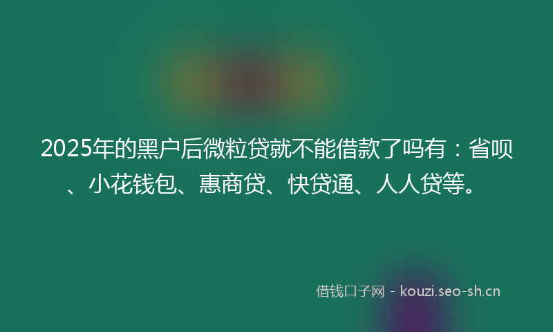 2025年的黑户后微粒贷就不能借款了吗有：省呗、小花钱包、惠商贷、快贷通、人人贷等。