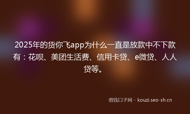 2025年的货你飞app为什么一直是放款中不下款有：花呗、美团生活费、信用卡贷、e微贷、人人贷等。