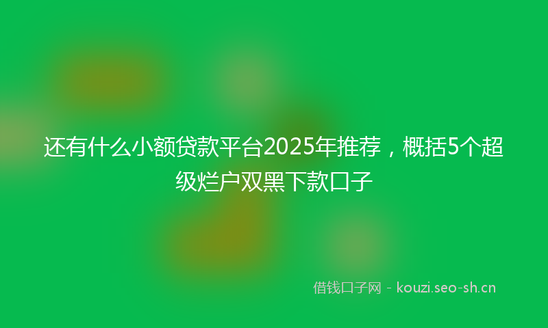 还有什么小额贷款平台2025年推荐，概括5个超级烂户双黑下款口子