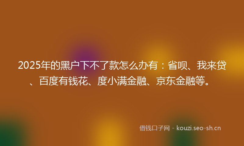 2025年的黑户下不了款怎么办有：省呗、我来贷、百度有钱花、度小满金融、京东金融等。