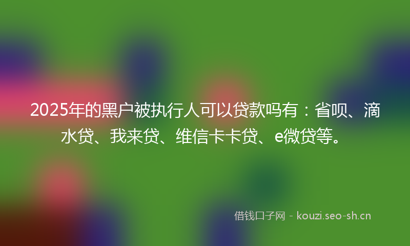 2025年的黑户被执行人可以贷款吗有：省呗、滴水贷、我来贷、维信卡卡贷、e微贷等。