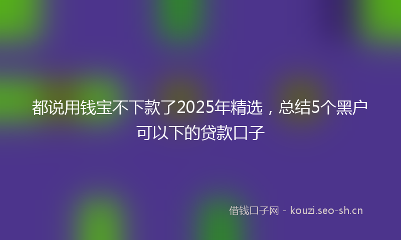都说用钱宝不下款了2025年精选，总结5个黑户可以下的贷款口子
