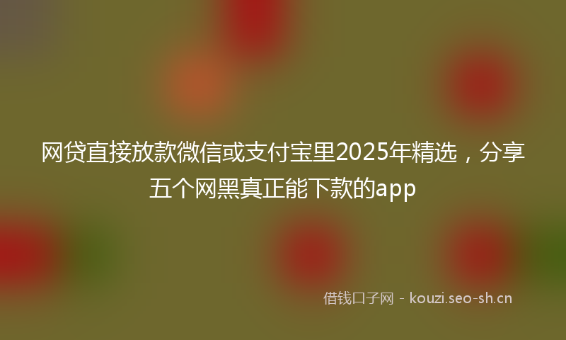 网贷直接放款微信或支付宝里2025年精选，分享五个网黑真正能下款的app