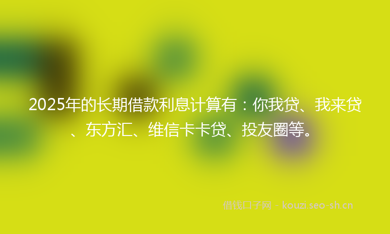 2025年的长期借款利息计算有：你我贷、我来贷、东方汇、维信卡卡贷、投友圈等。