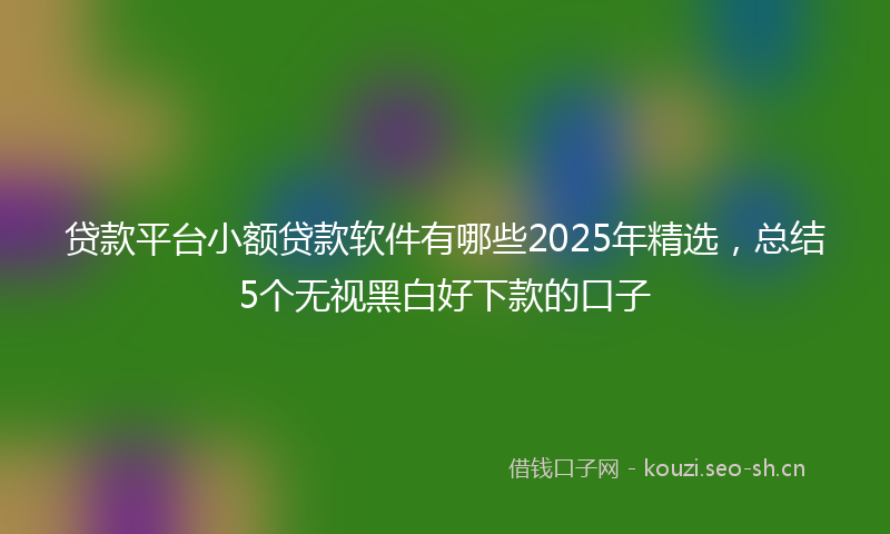 贷款平台小额贷款软件有哪些2025年精选，总结5个无视黑白好下款的口子