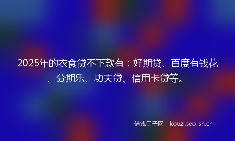 2025年的衣食贷不下款有：好期贷、百度有钱花、分期乐、功夫贷、信用卡贷等。