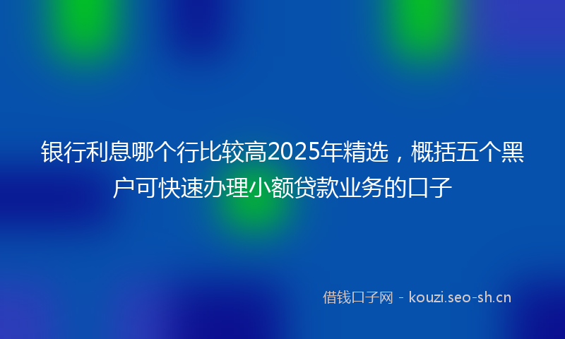 银行利息哪个行比较高2025年精选，概括五个黑户可快速办理小额贷款业务的口子