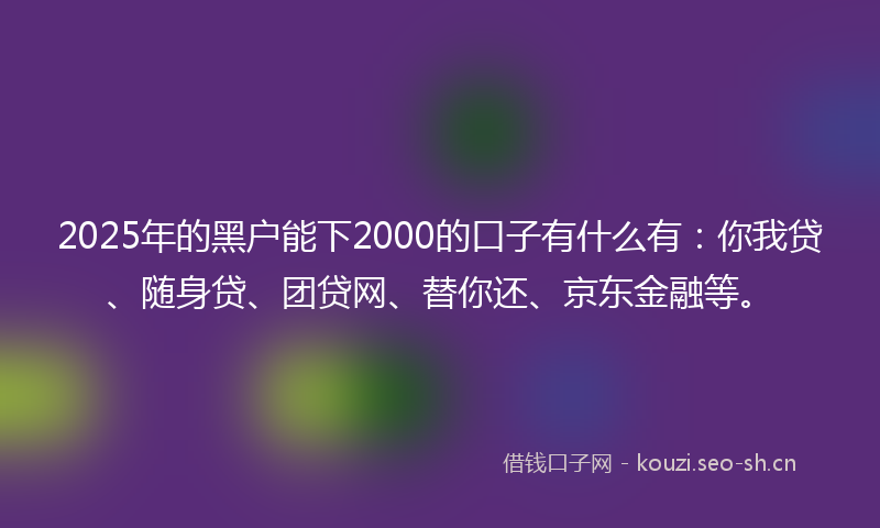 2025年的黑户能下2000的口子有什么有：你我贷、随身贷、团贷网、替你还、京东金融等。