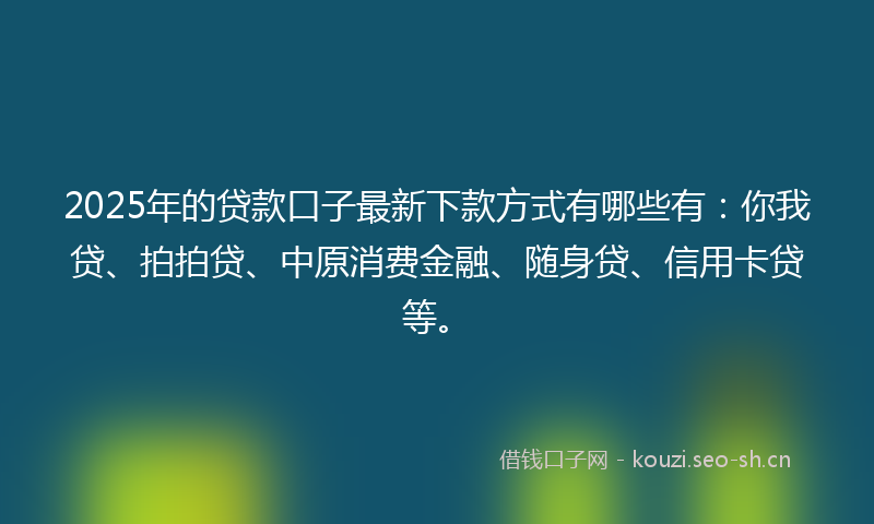 2025年的贷款口子最新下款方式有哪些有：你我贷、拍拍贷、中原消费金融、随身贷、信用卡贷等。