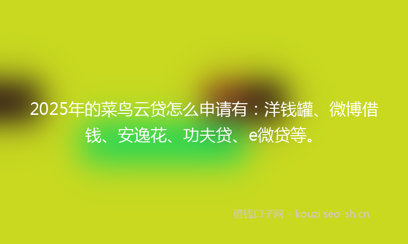 2025年的菜鸟云贷怎么申请有：洋钱罐、微博借钱、安逸花、功夫贷、e微贷等。
