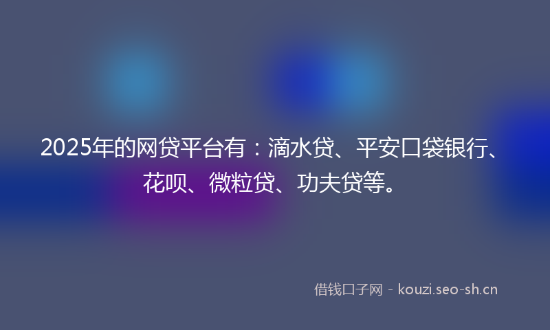 2025年的网贷平台有：滴水贷、平安口袋银行、花呗、微粒贷、功夫贷等。