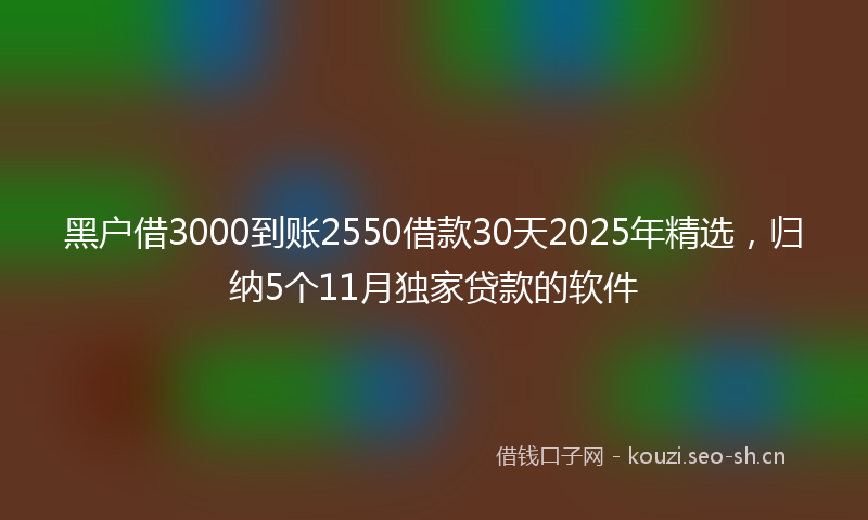 黑户借3000到账2550借款30天2025年精选，归纳5个11月独家贷款的软件