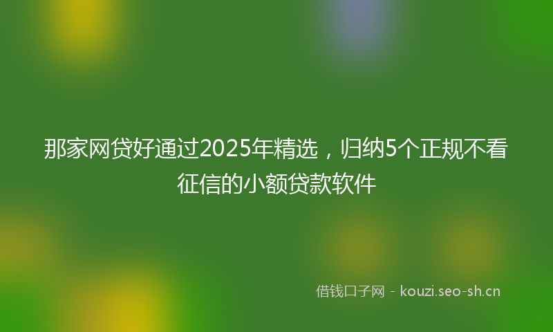 那家网贷好通过2025年精选，归纳5个正规不看征信的小额贷款软件