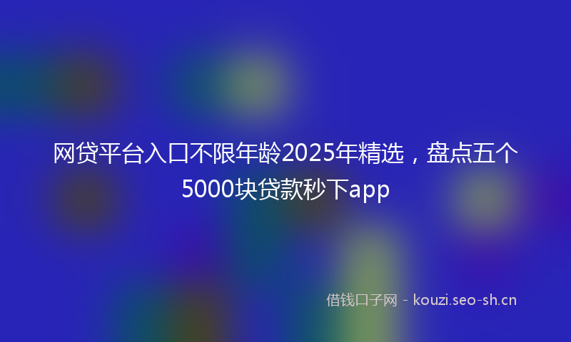 网贷平台入口不限年龄2025年精选，盘点五个5000块贷款秒下app