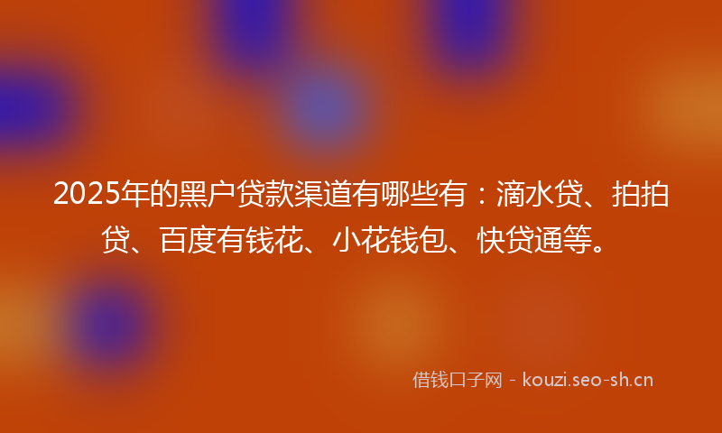 2025年的黑户贷款渠道有哪些有：滴水贷、拍拍贷、百度有钱花、小花钱包、快贷通等。