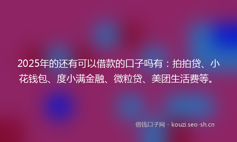 2025年的还有可以借款的口子吗有：拍拍贷、小花钱包、度小满金融、微粒贷、美团生活费等。