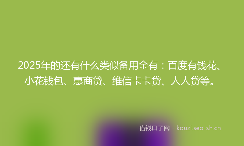 2025年的还有什么类似备用金有：百度有钱花、小花钱包、惠商贷、维信卡卡贷、人人贷等。