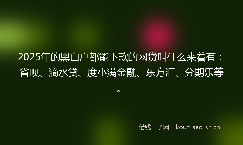 2025年的黑白户都能下款的网贷叫什么来着有：省呗、滴水贷、度小满金融、东方汇、分期乐等。