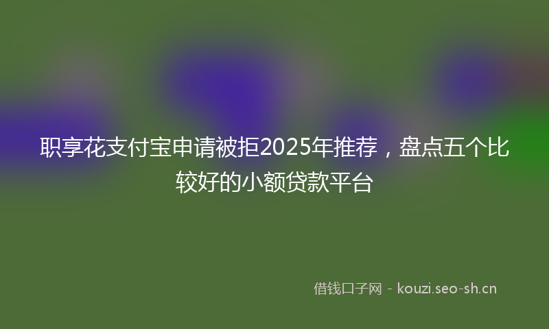 职享花支付宝申请被拒2025年推荐，盘点五个比较好的小额贷款平台