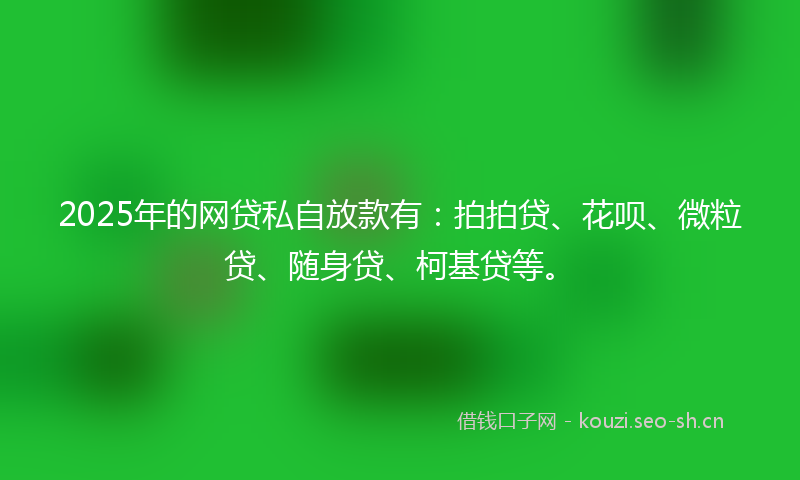 2025年的网贷私自放款有：拍拍贷、花呗、微粒贷、随身贷、柯基贷等。