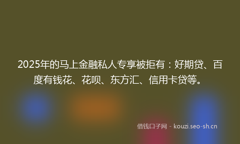 2025年的马上金融私人专享被拒有：好期贷、百度有钱花、花呗、东方汇、信用卡贷等。