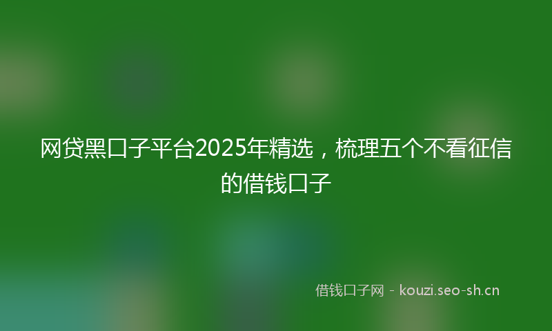 网贷黑口子平台2025年精选，梳理五个不看征信的借钱口子