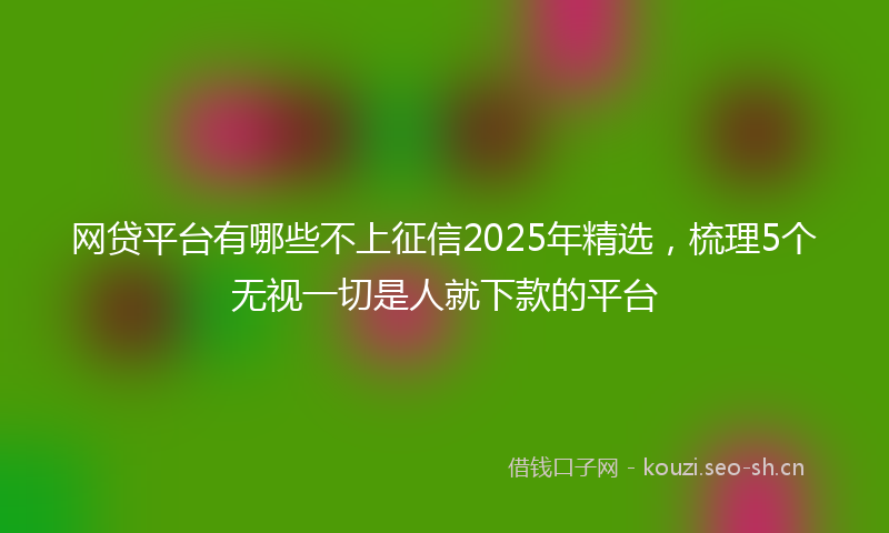 网贷平台有哪些不上征信2025年精选，梳理5个无视一切是人就下款的平台