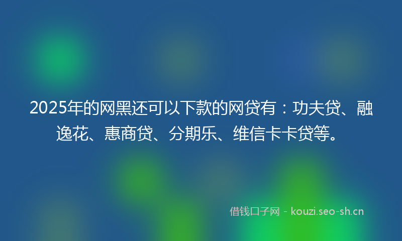 2025年的网黑还可以下款的网贷有：功夫贷、融逸花、惠商贷、分期乐、维信卡卡贷等。