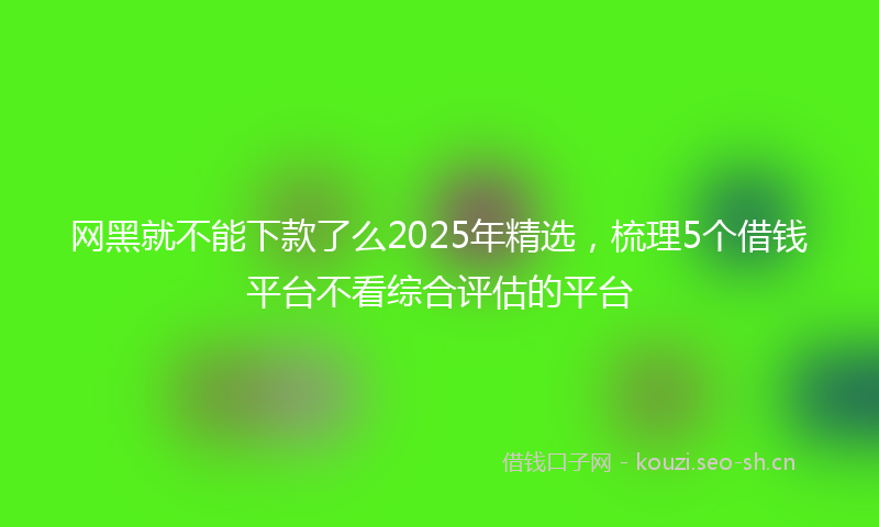 网黑就不能下款了么2025年精选，梳理5个借钱平台不看综合评估的平台